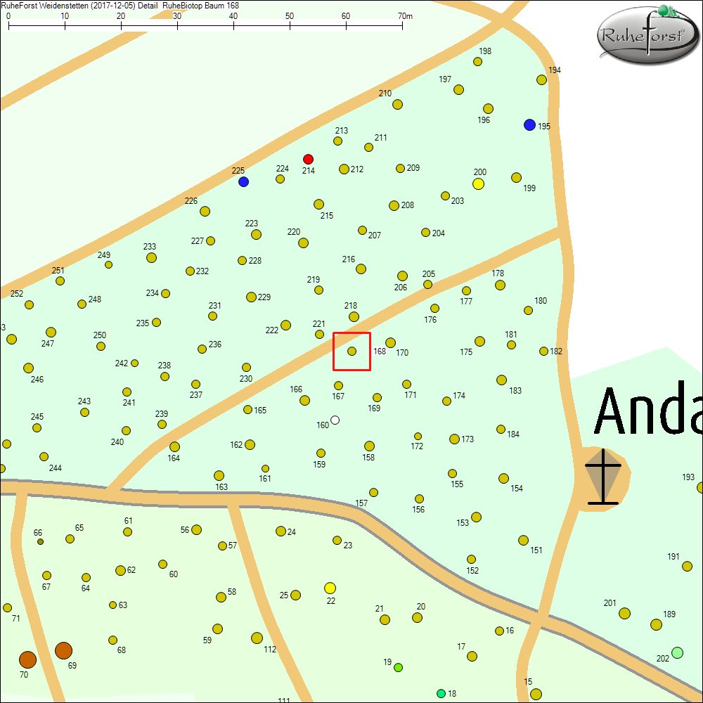 Detailkarte zu Baum 168