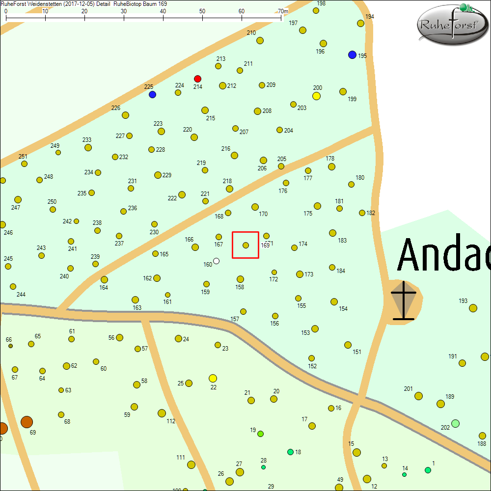 Detailkarte zu Baum 169
