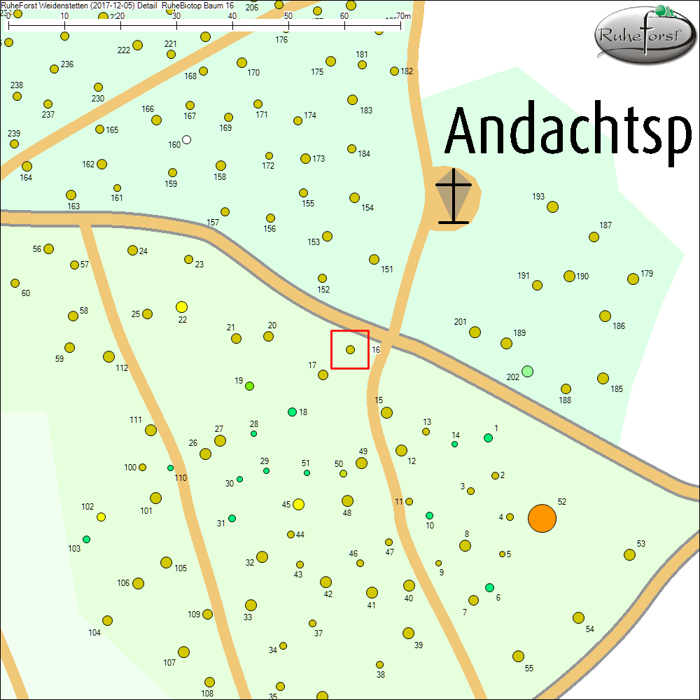 Detailkarte zu Baum 16