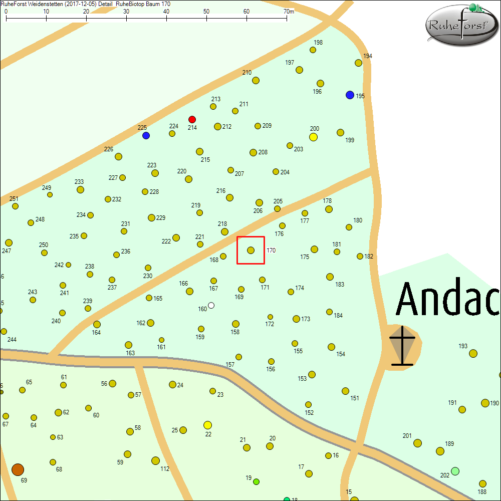 Detailkarte zu Baum 170