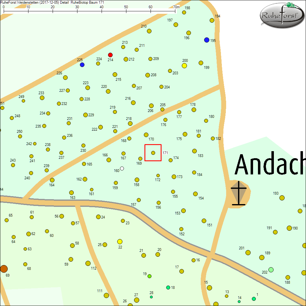 Detailkarte zu Baum 171