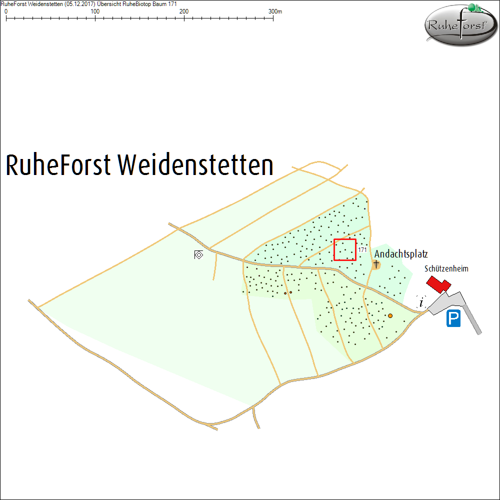 &Uuml;bersichtskarte zu Baum 171