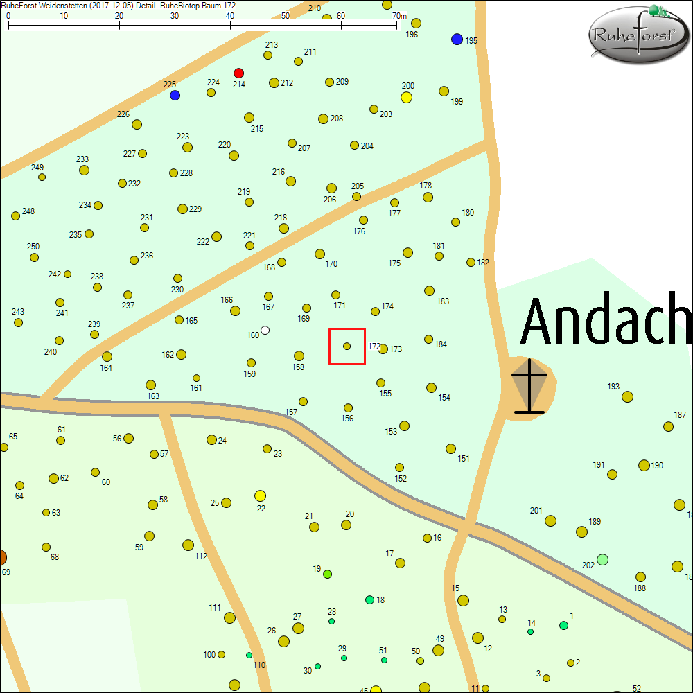 Detailkarte zu Baum 172