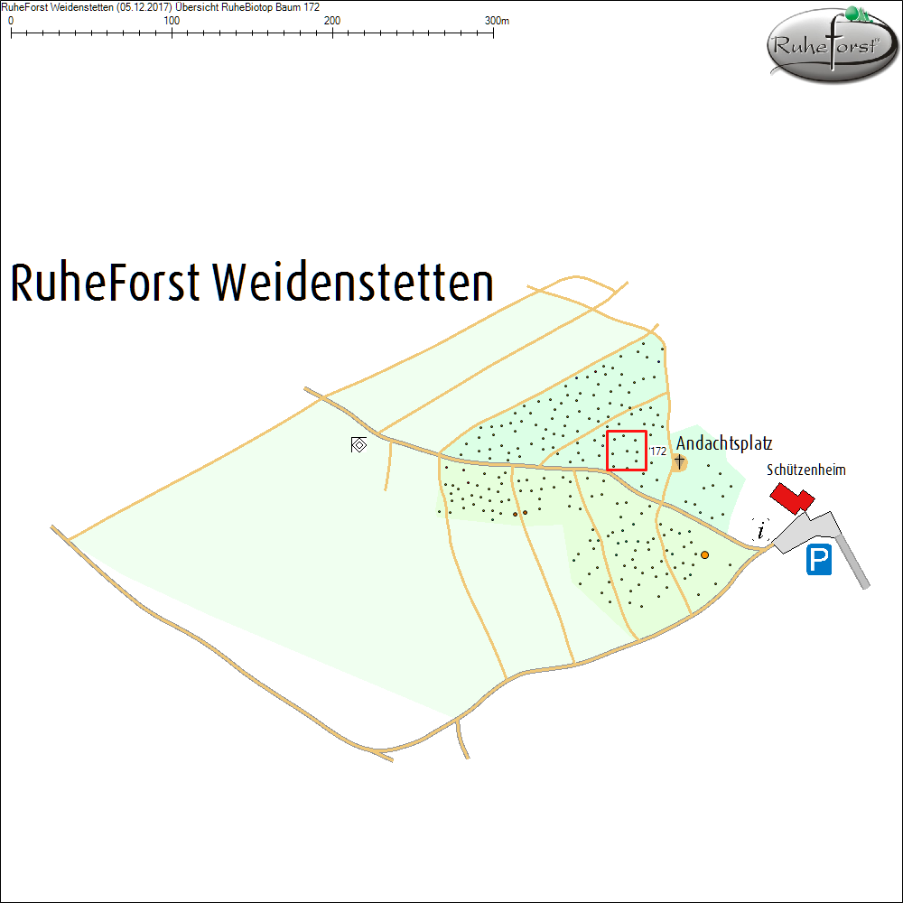 &Uuml;bersichtskarte zu Baum 172
