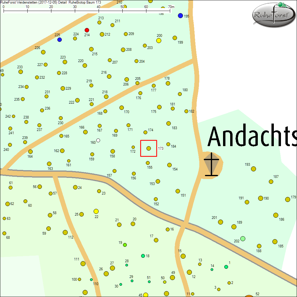 Detailkarte zu Baum 173