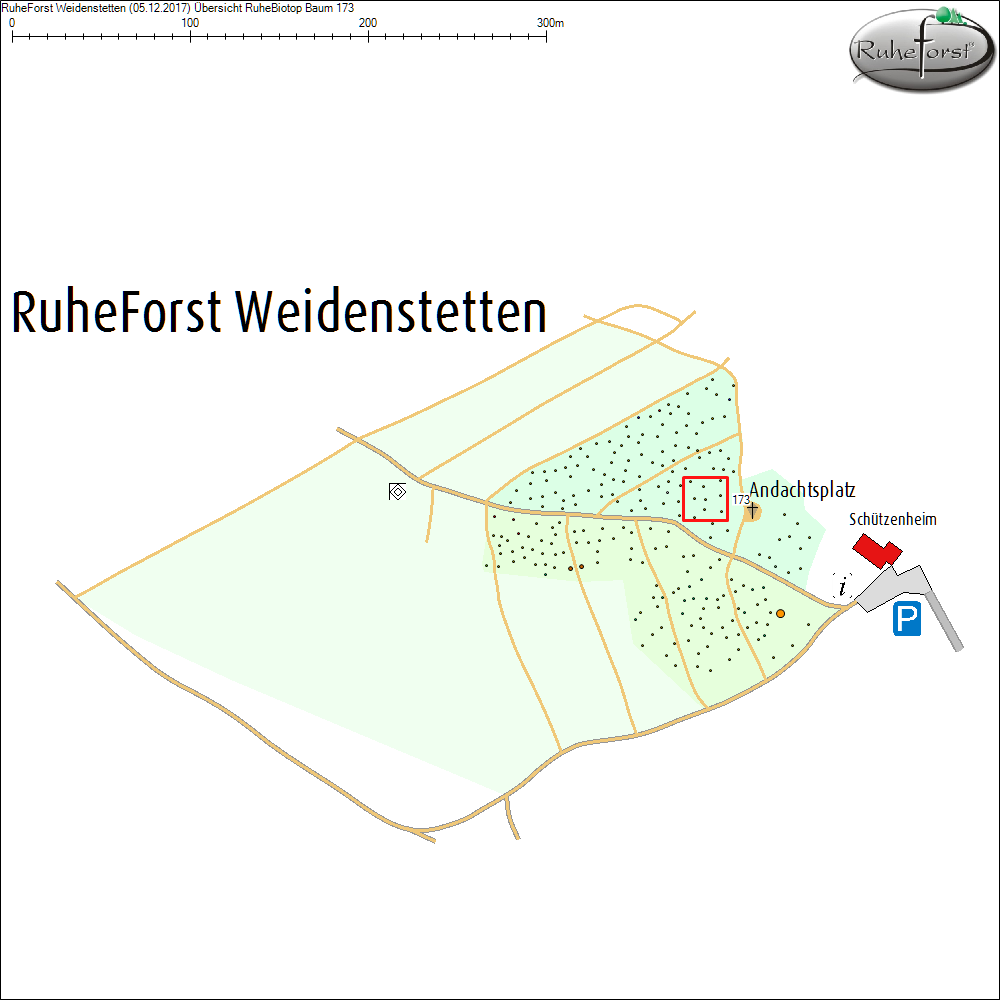 &Uuml;bersichtskarte zu Baum 173