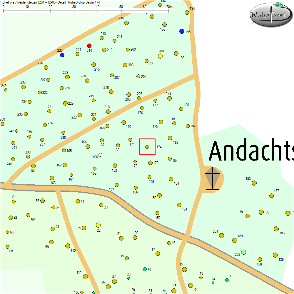 Detailkarte zu Baum 174