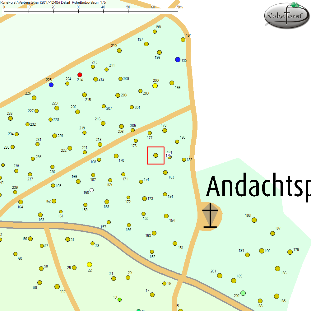 Detailkarte zu Baum 175
