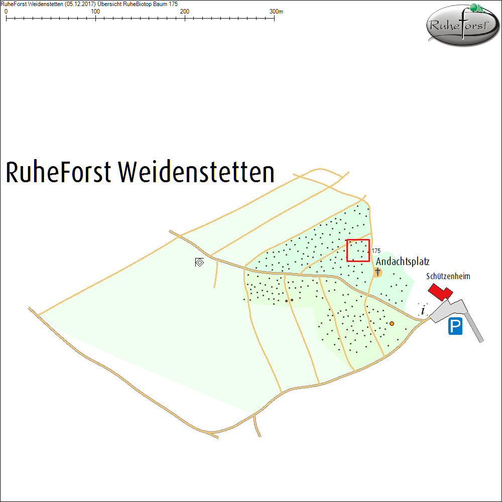 &Uuml;bersichtskarte zu Baum 175