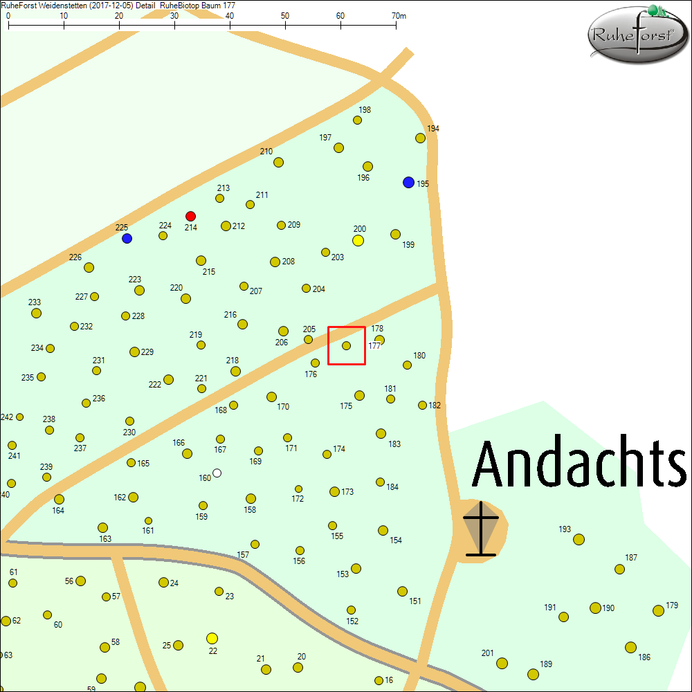 Detailkarte zu Baum 177