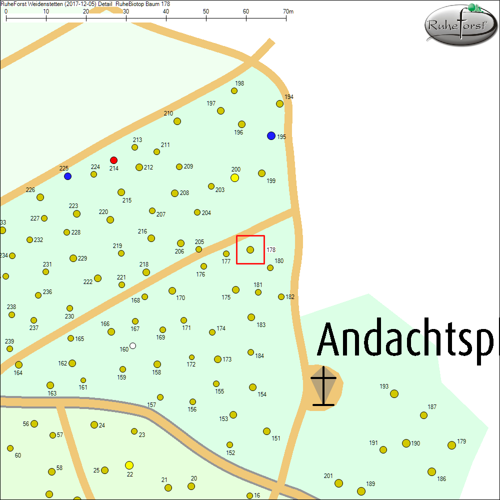 Detailkarte zu Baum 178