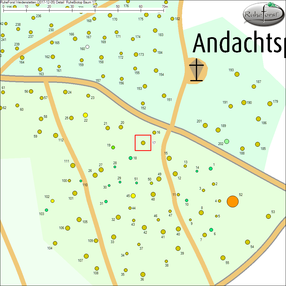 Detailkarte zu Baum 17