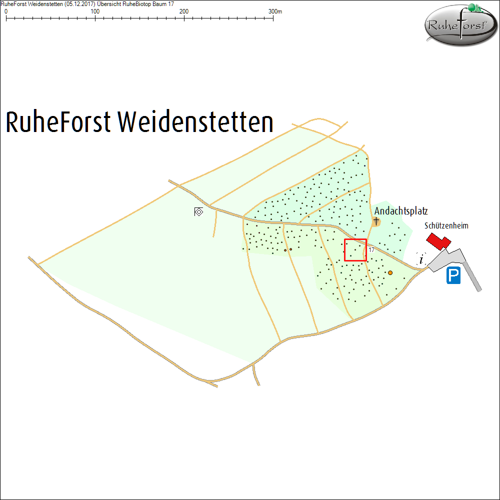 &Uuml;bersichtskarte zu Baum 17