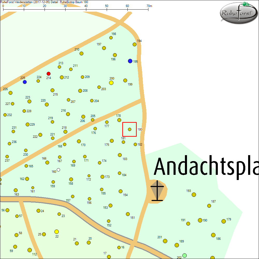 Detailkarte zu Baum 180