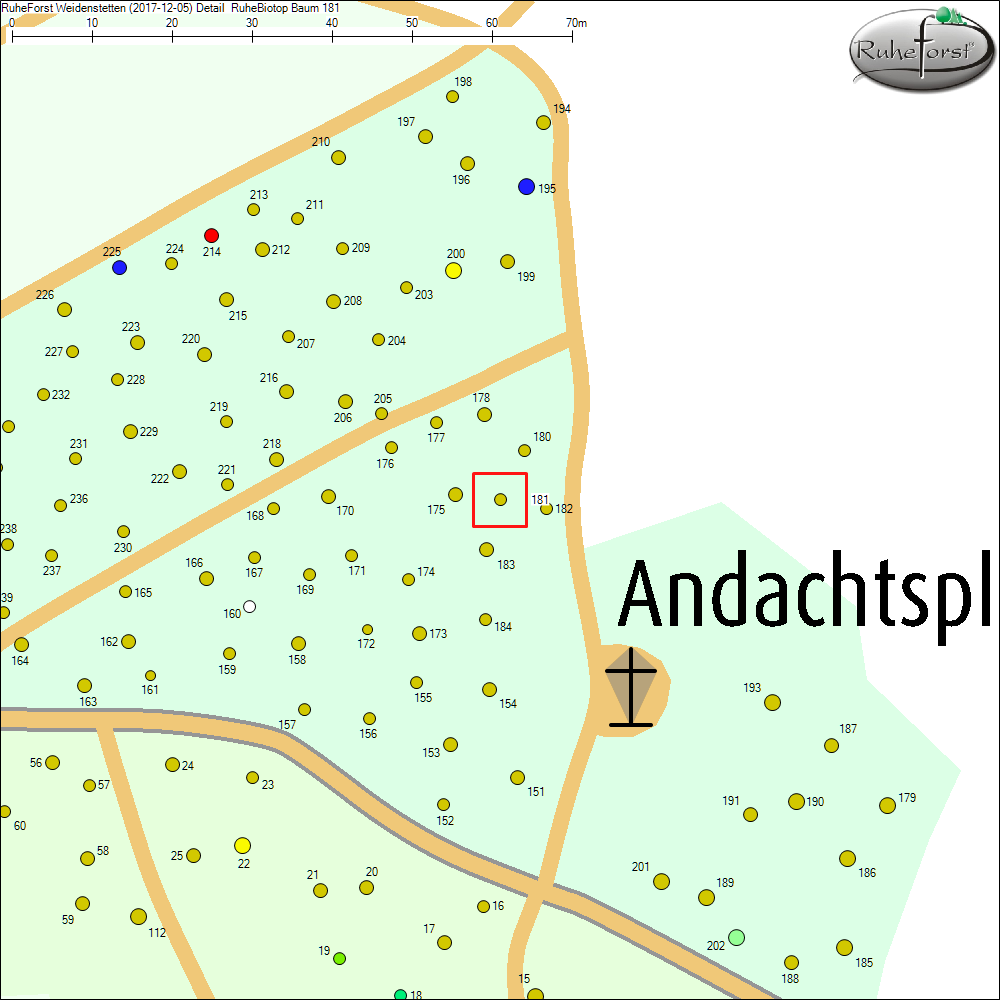 Detailkarte zu Baum 181