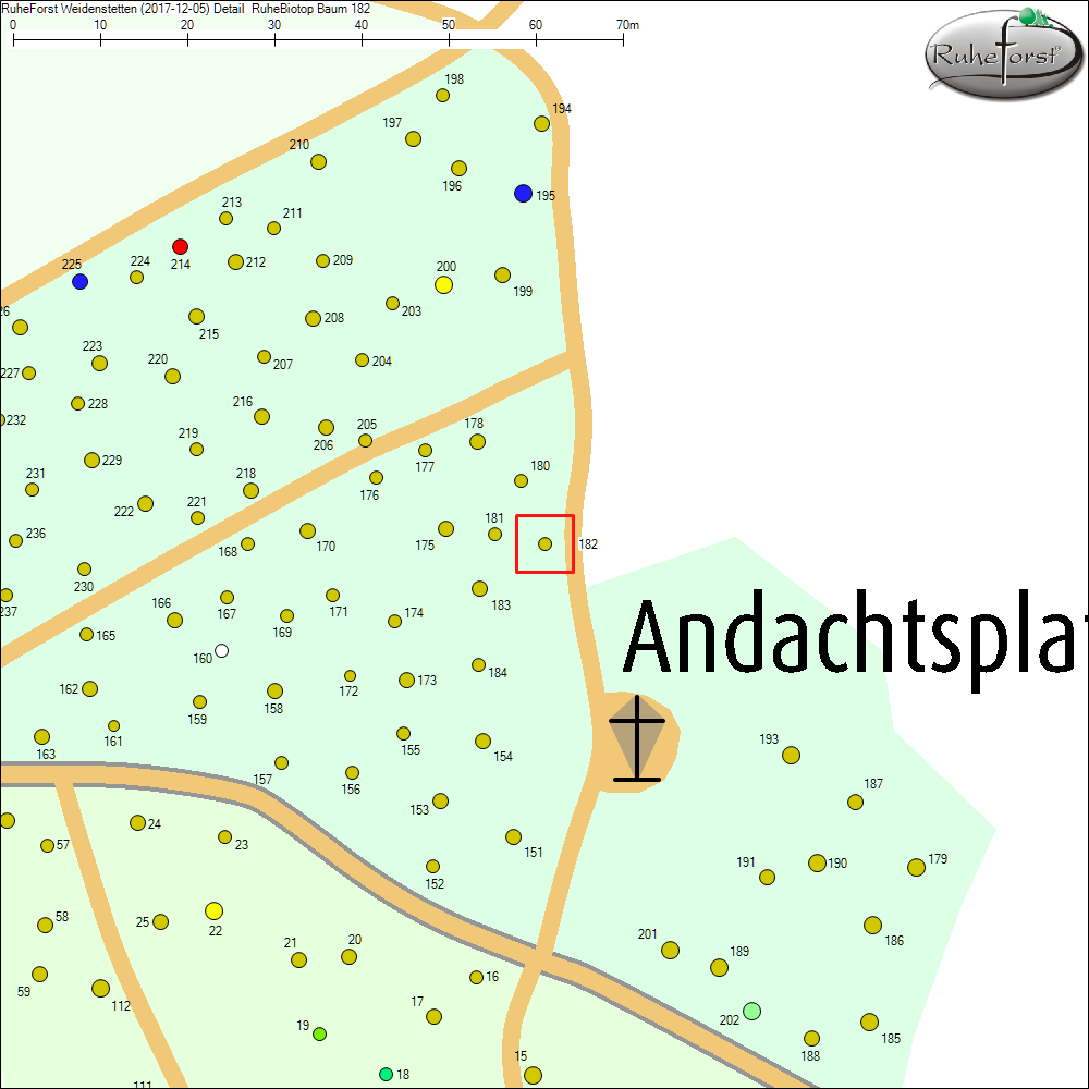 Detailkarte zu Baum 182