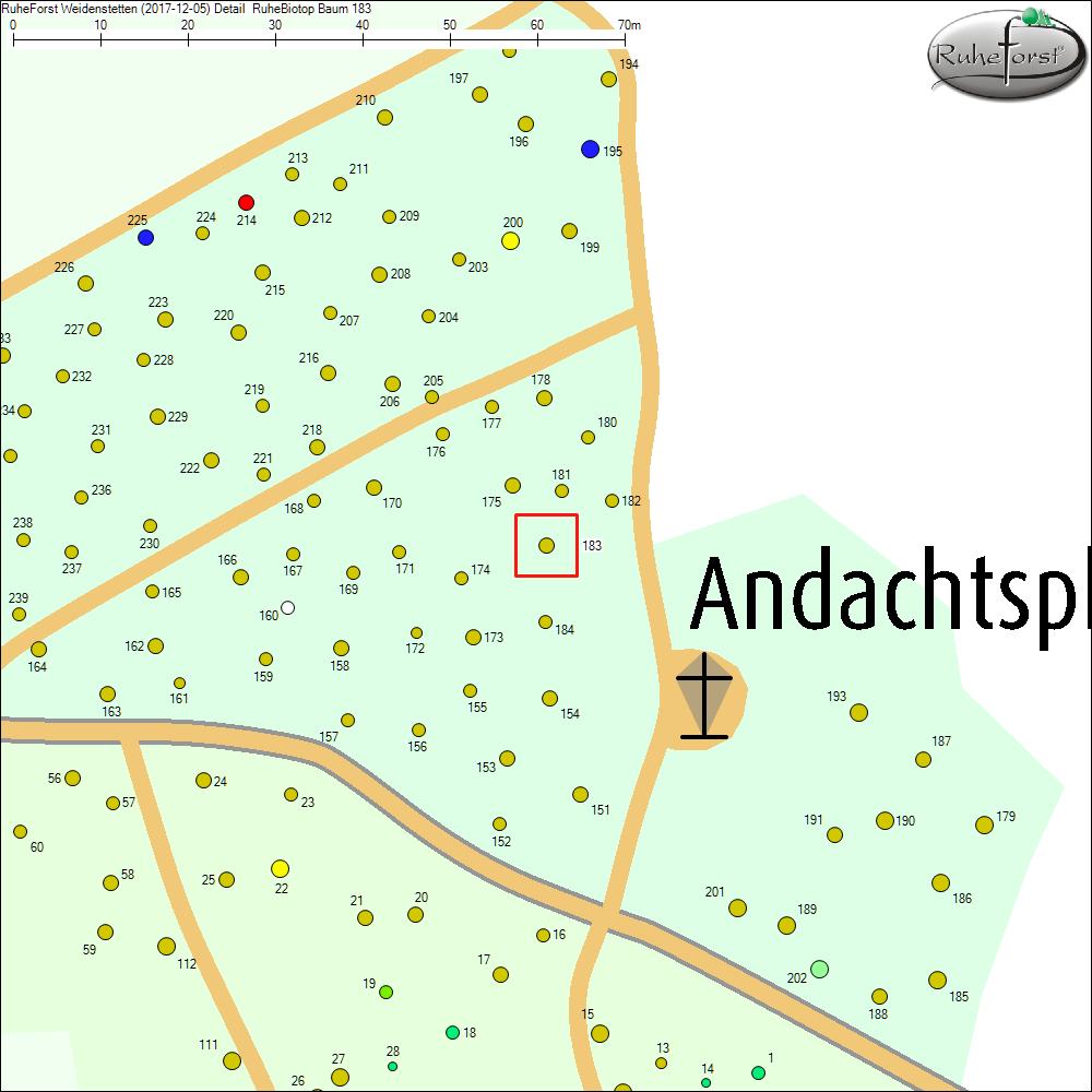 Detailkarte zu Baum 183