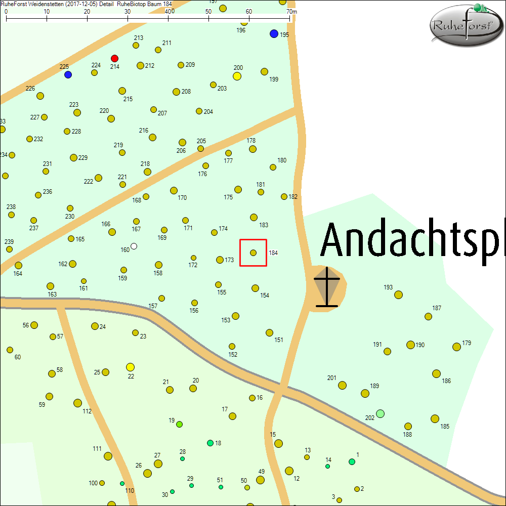 Detailkarte zu Baum 184