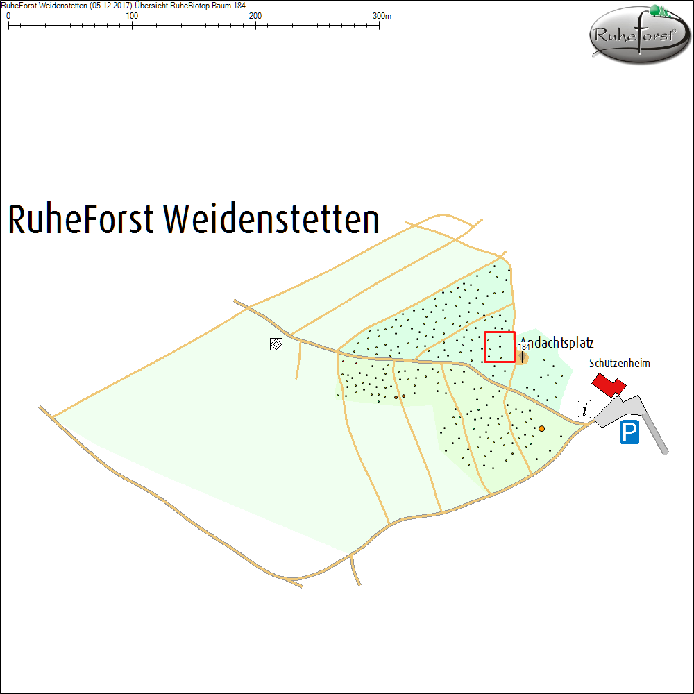 &Uuml;bersichtskarte zu Baum 184