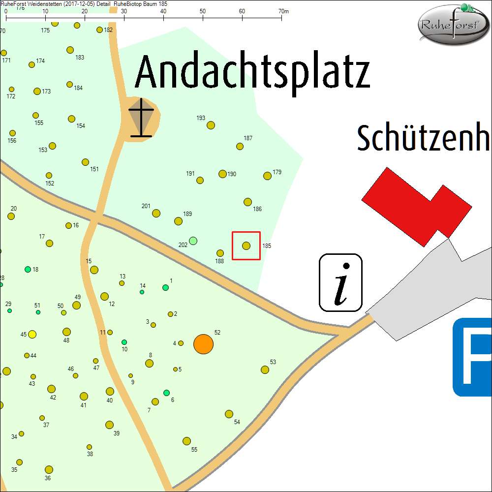 Detailkarte zu Baum 185