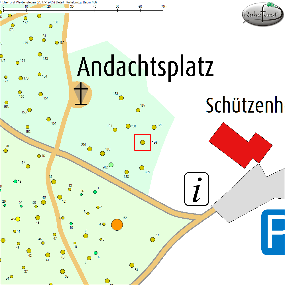 Detailkarte zu Baum 186