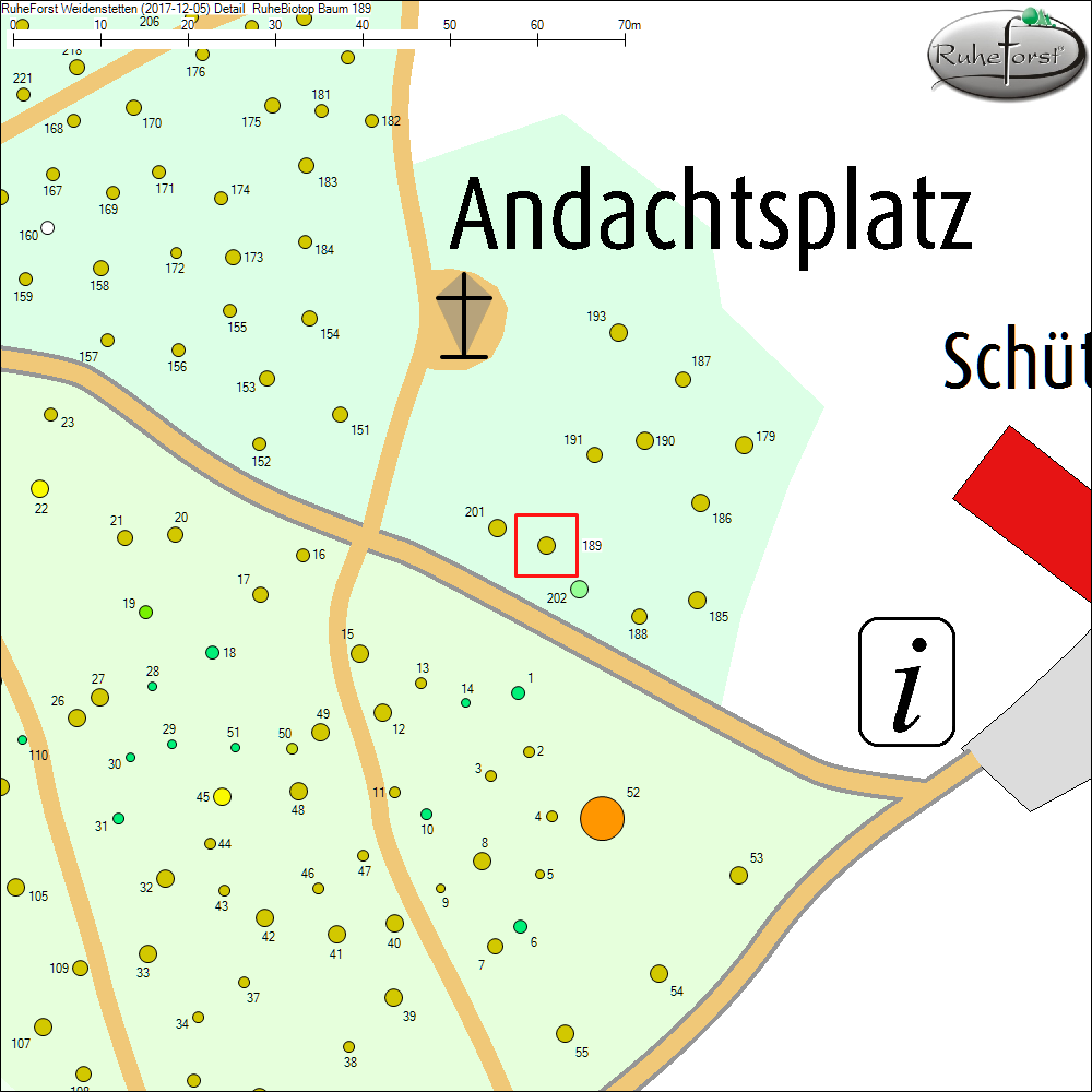 Detailkarte zu Baum 189