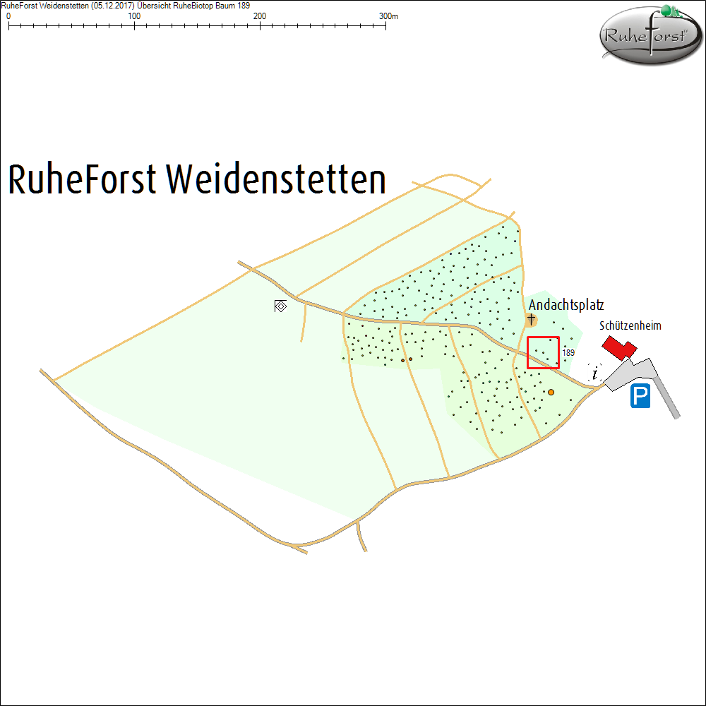 &Uuml;bersichtskarte zu Baum 189