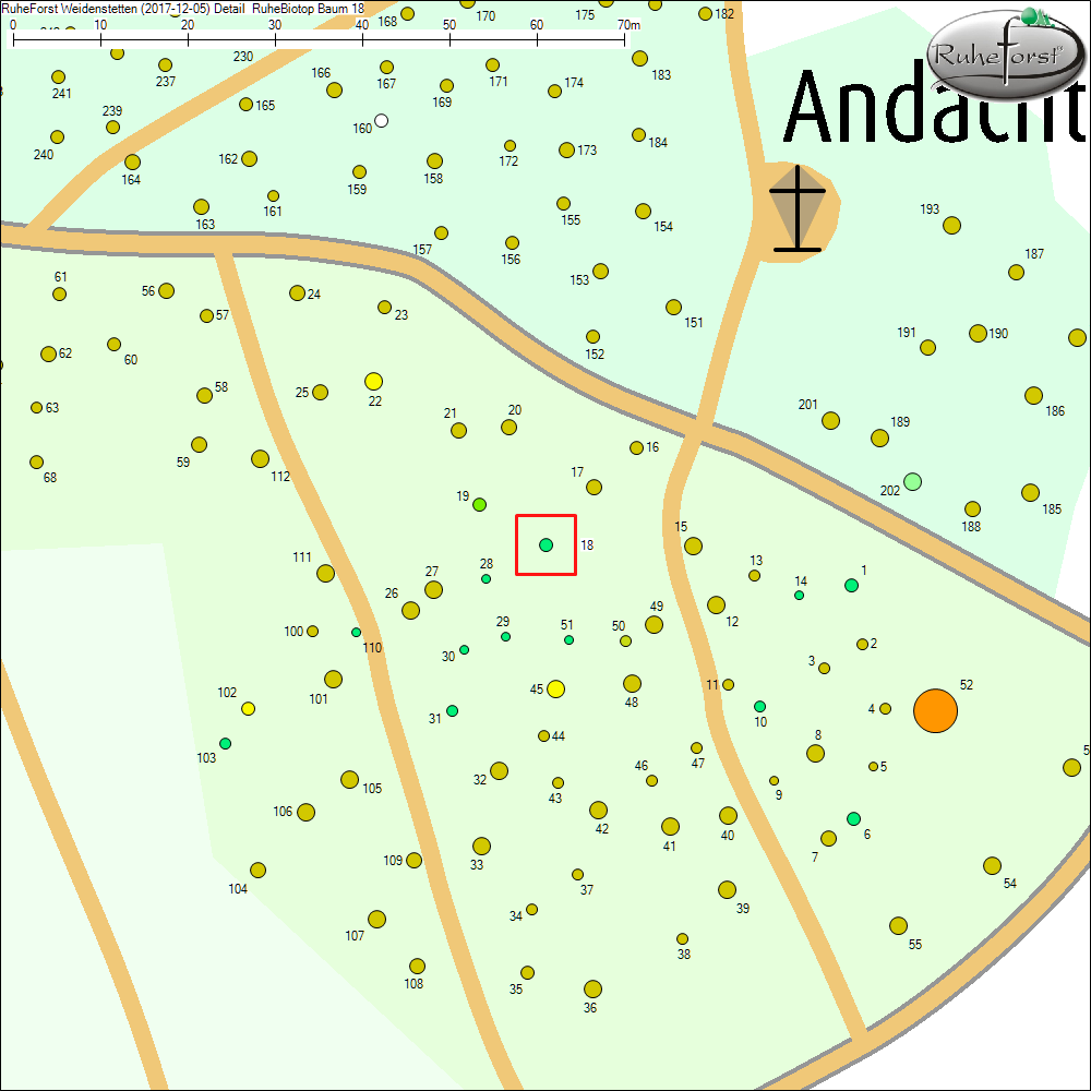 Detailkarte zu Baum 18