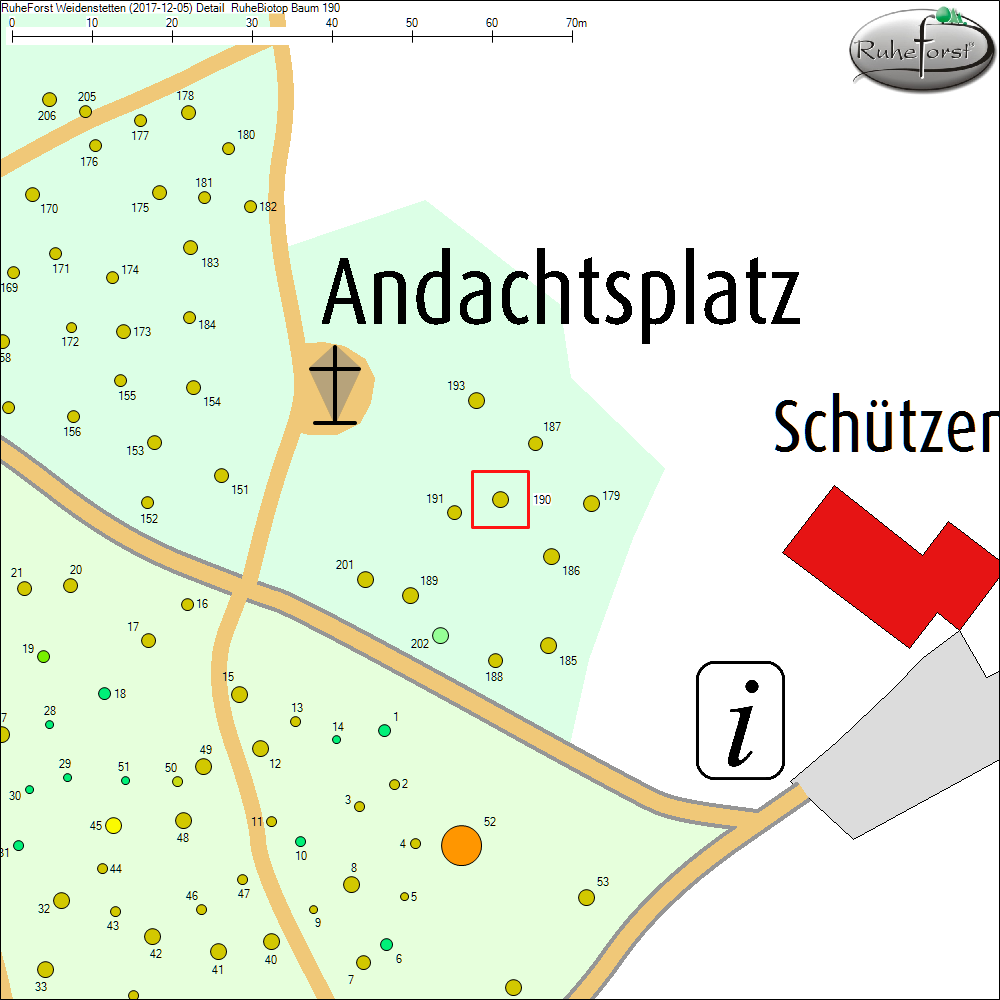 Detailkarte zu Baum 190