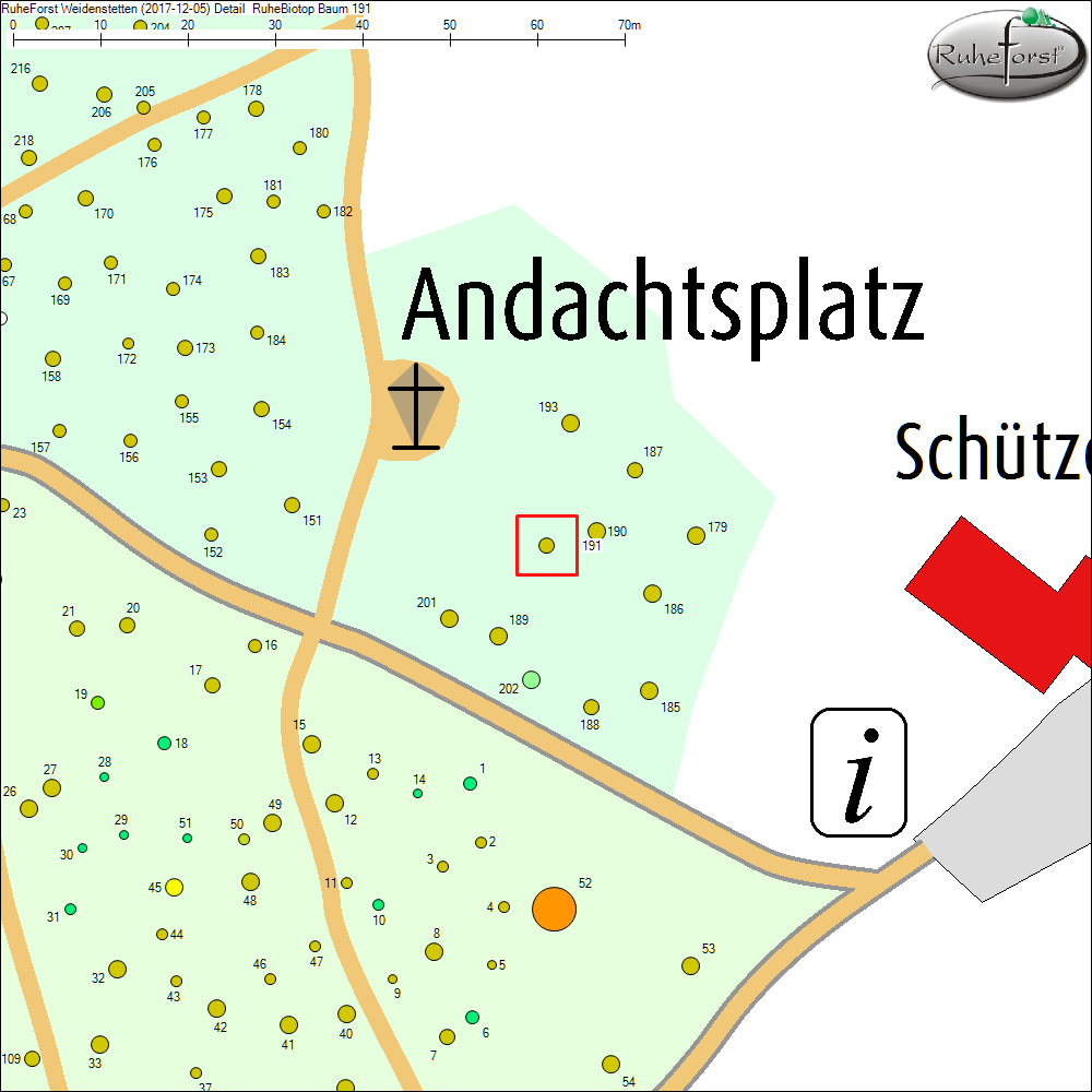 Detailkarte zu Baum 191