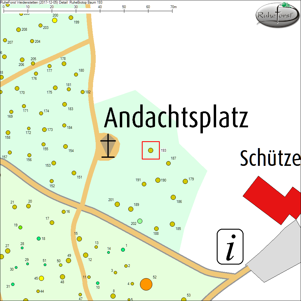 Detailkarte zu Baum 193