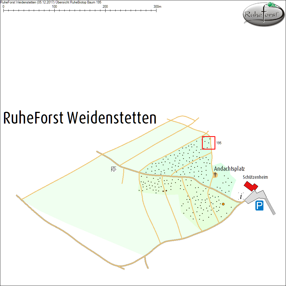&Uuml;bersichtskarte zu Baum 195