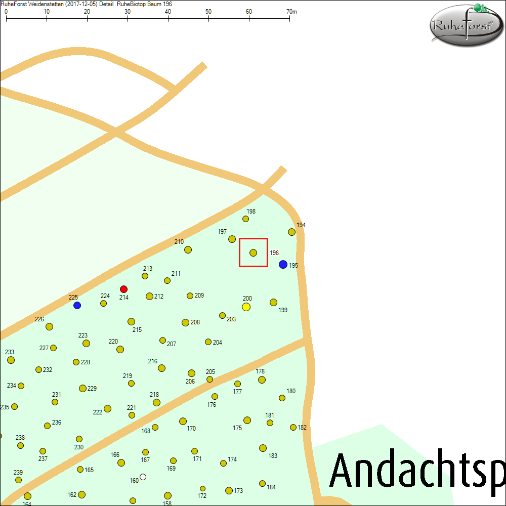 Detailkarte zu Baum 196