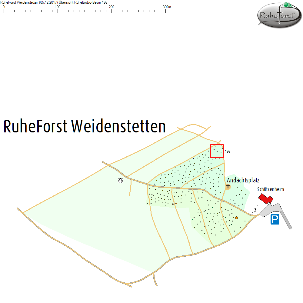 &Uuml;bersichtskarte zu Baum 196