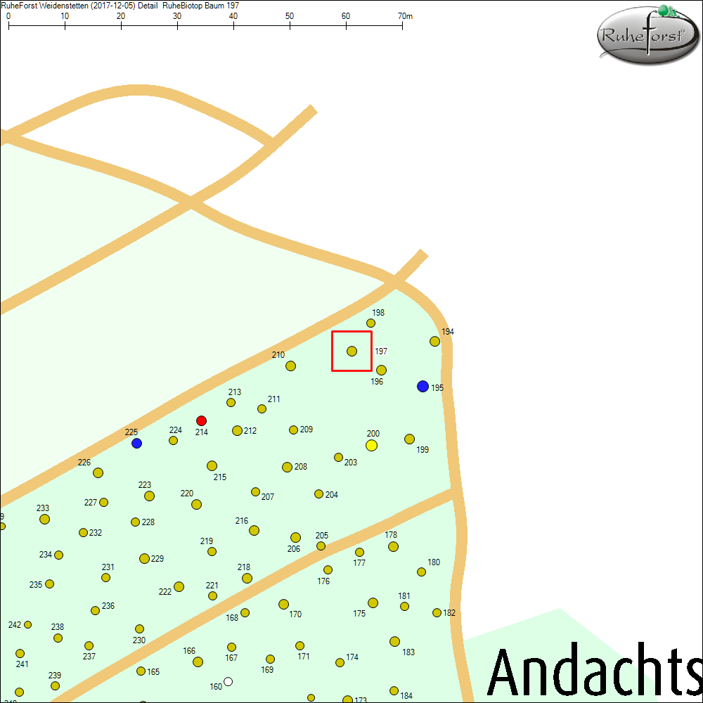Detailkarte zu Baum 197