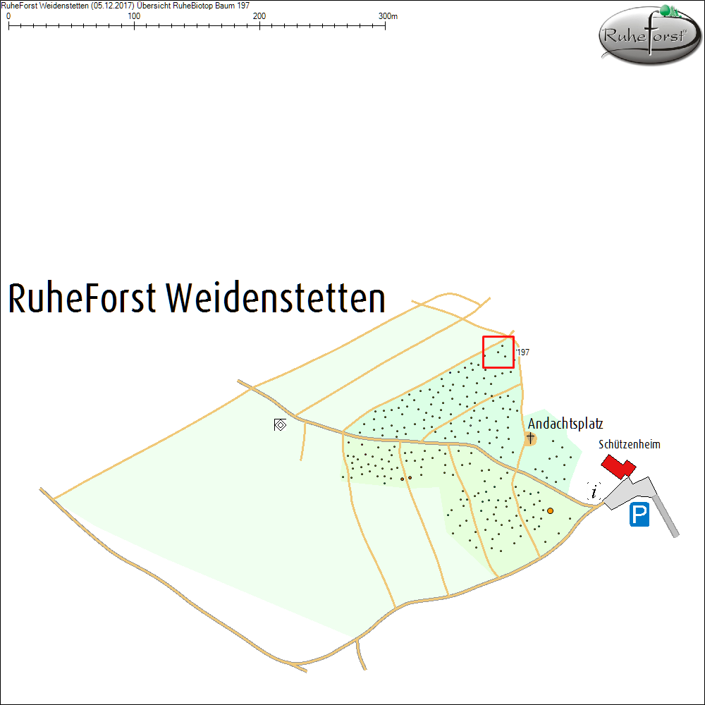 &Uuml;bersichtskarte zu Baum 197