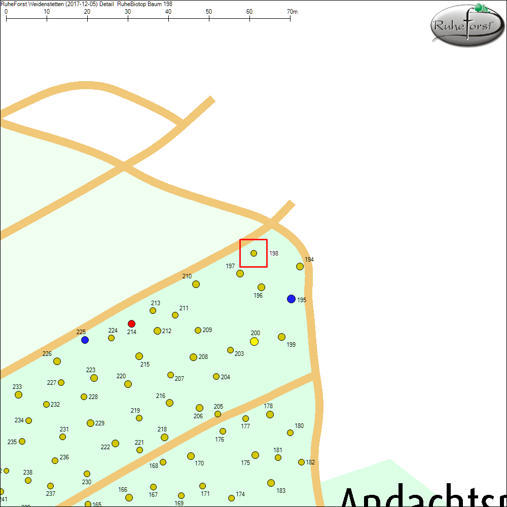 Detailkarte zu Baum 198