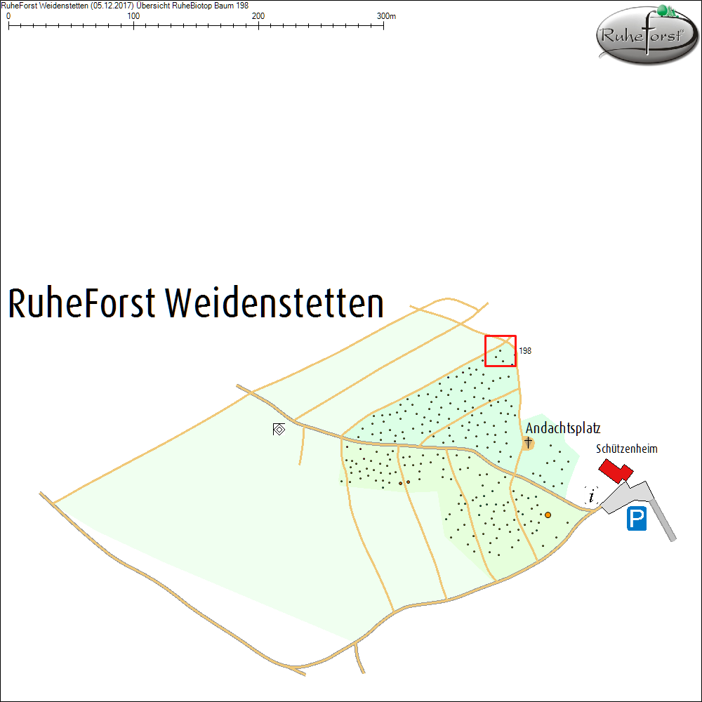&Uuml;bersichtskarte zu Baum 198