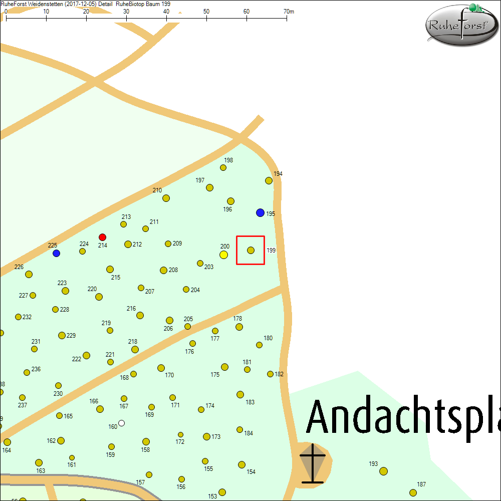Detailkarte zu Baum 199