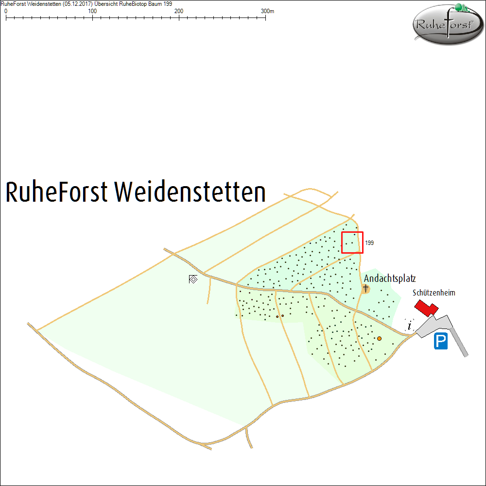 &Uuml;bersichtskarte zu Baum 199