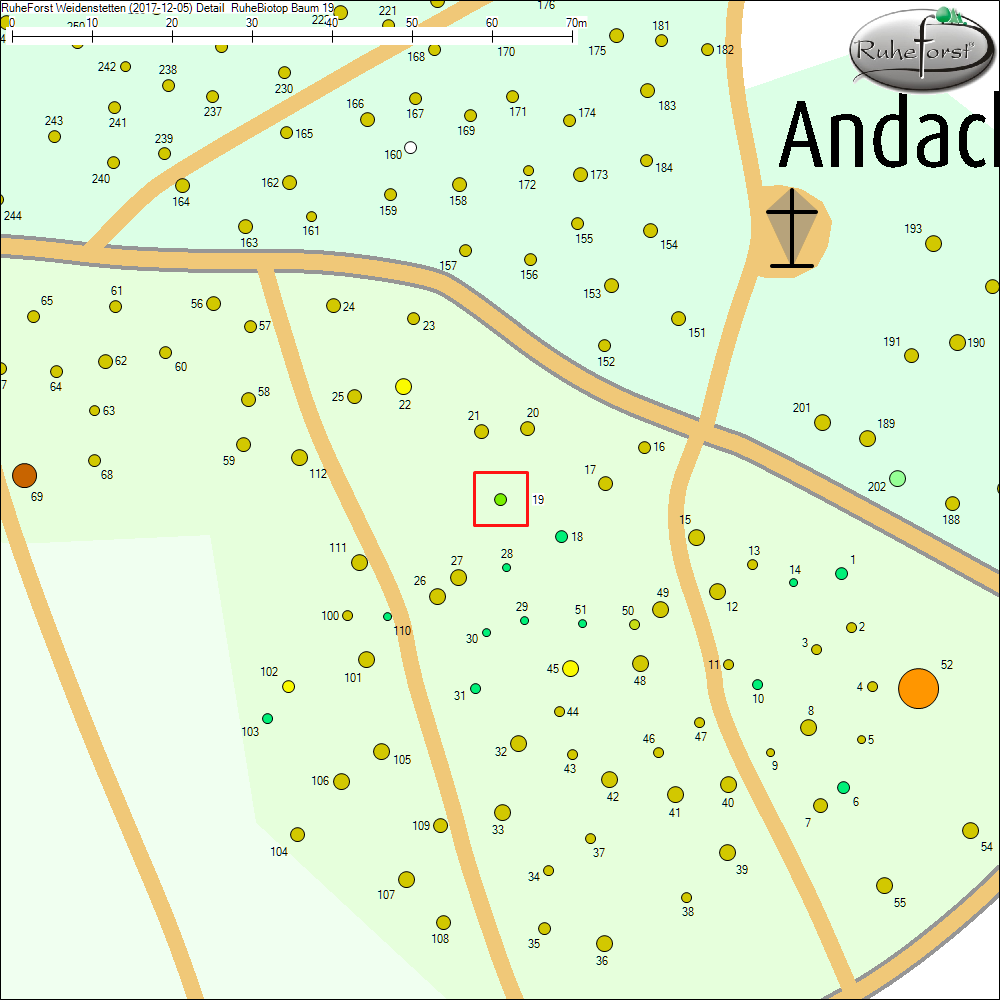 Detailkarte zu Baum 19