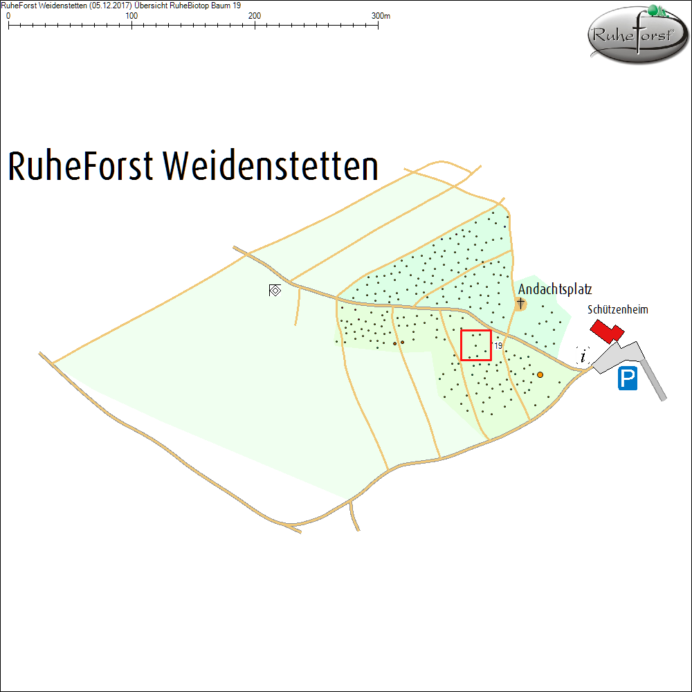 &Uuml;bersichtskarte zu Baum 19