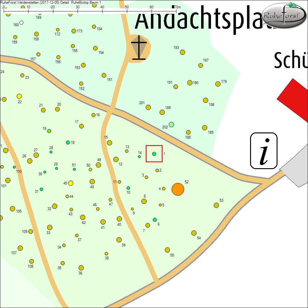 Detailkarte zu Baum 1