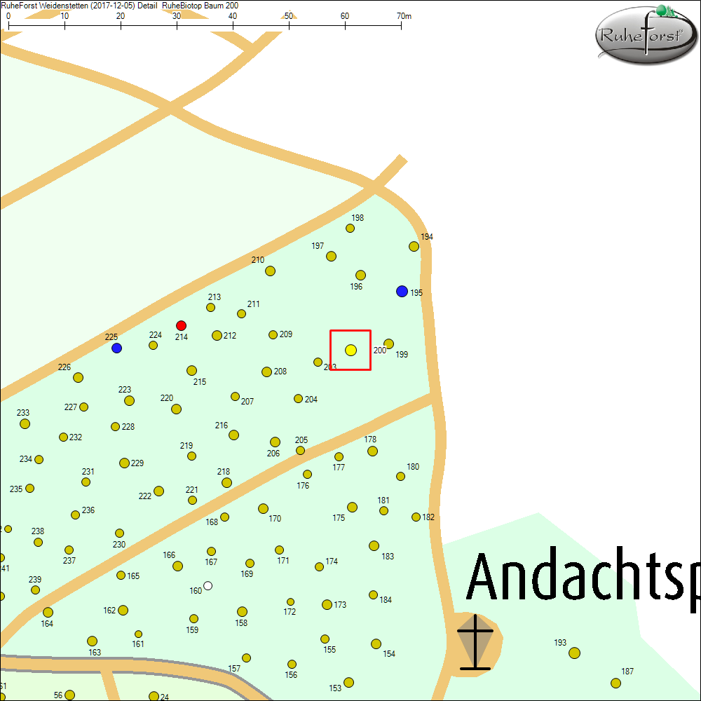 Detailkarte zu Baum 200