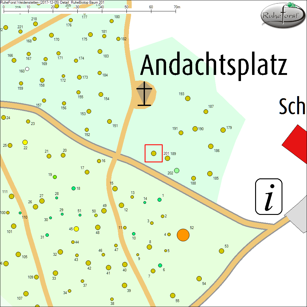 Detailkarte zu Baum 201