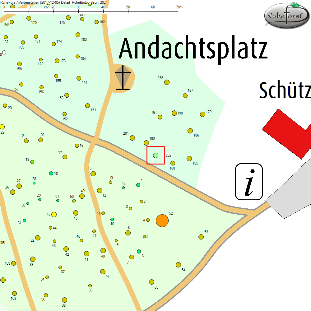 Detailkarte zu Baum 202