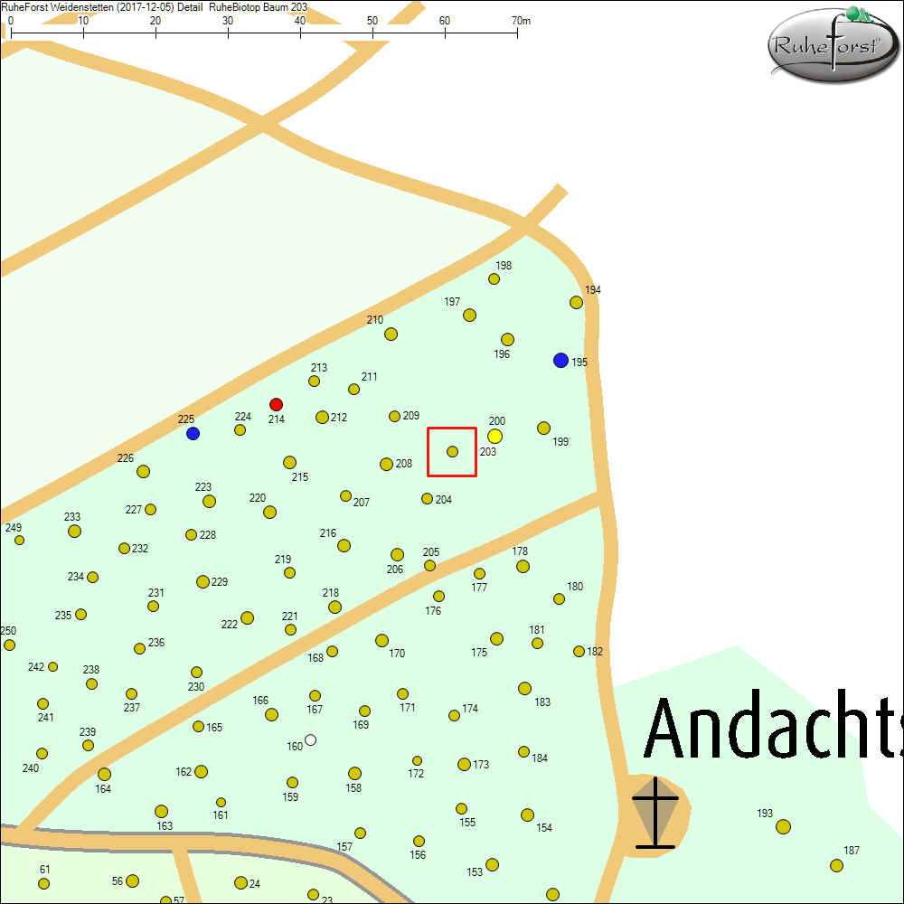 Detailkarte zu Baum 203