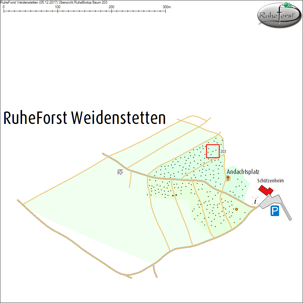 &Uuml;bersichtskarte zu Baum 203