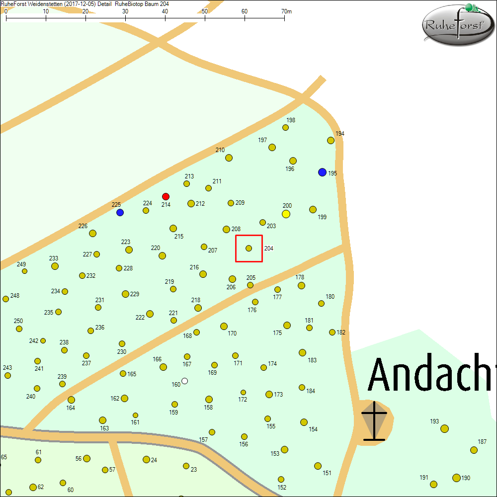 Detailkarte zu Baum 204