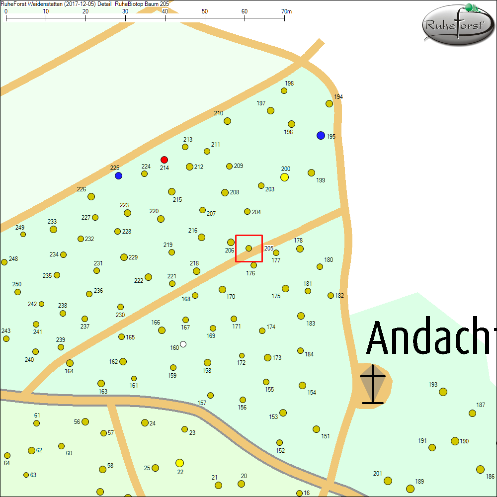Detailkarte zu Baum 205